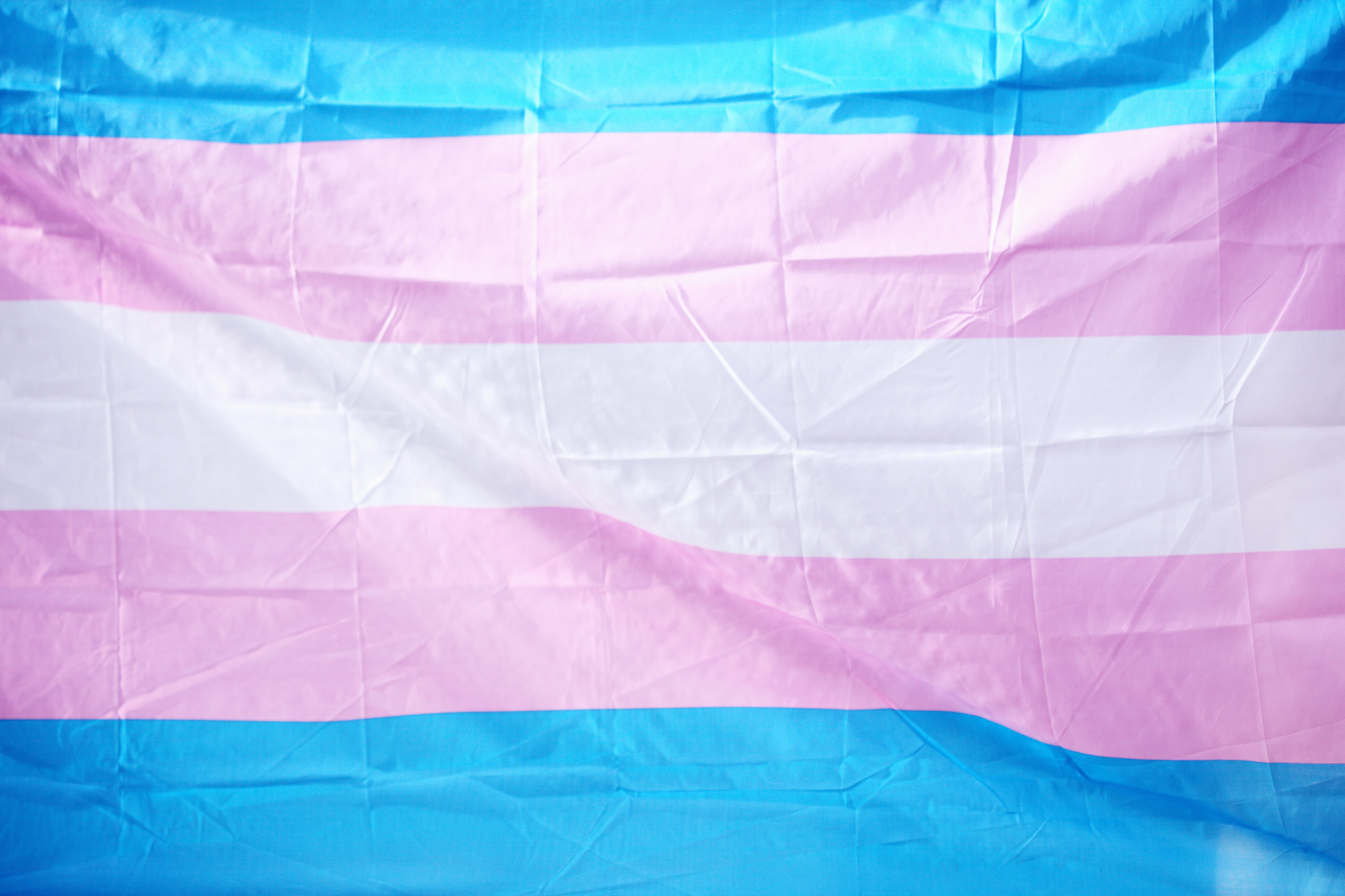 Transgender flag celebrating LGBTQ Pride for June, 2019. Transgender flag celebrating LGBTQ Pride for June, 2019.