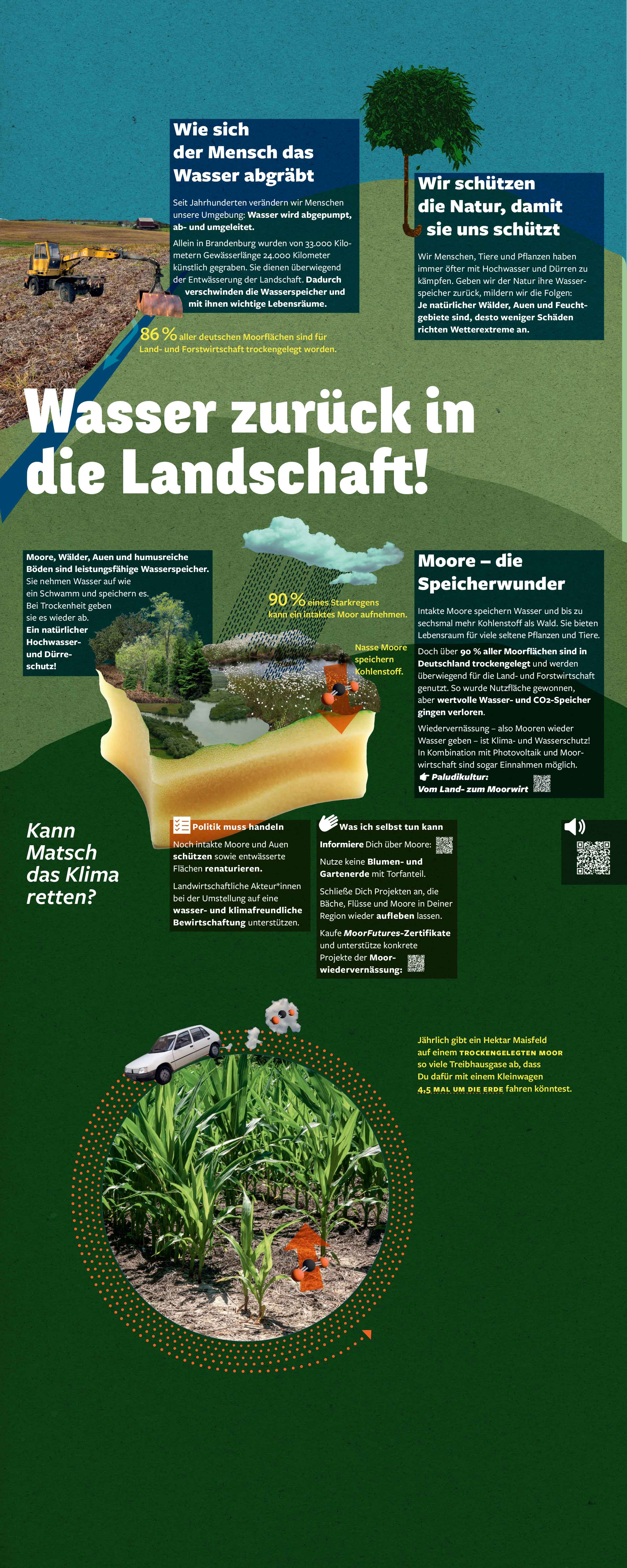 04_Wasserausstellung_Moore