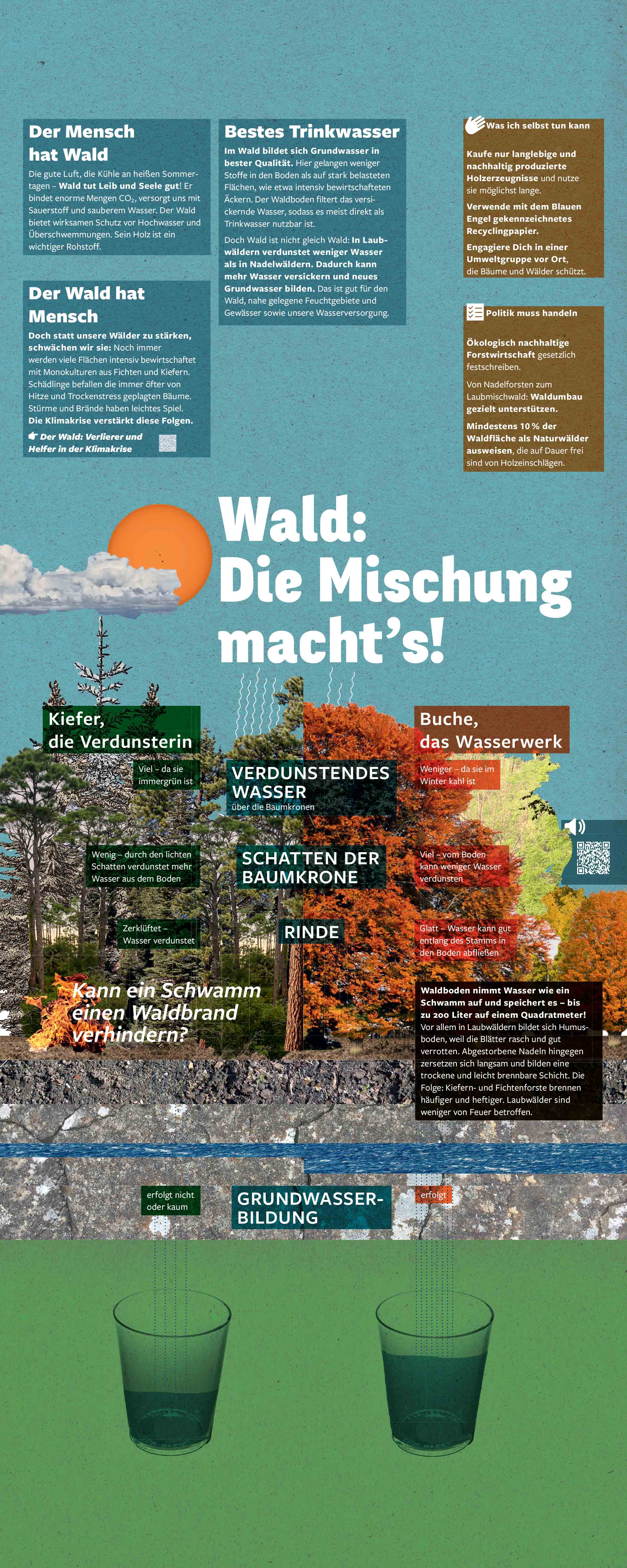 04_Wasserausstellung_Wald