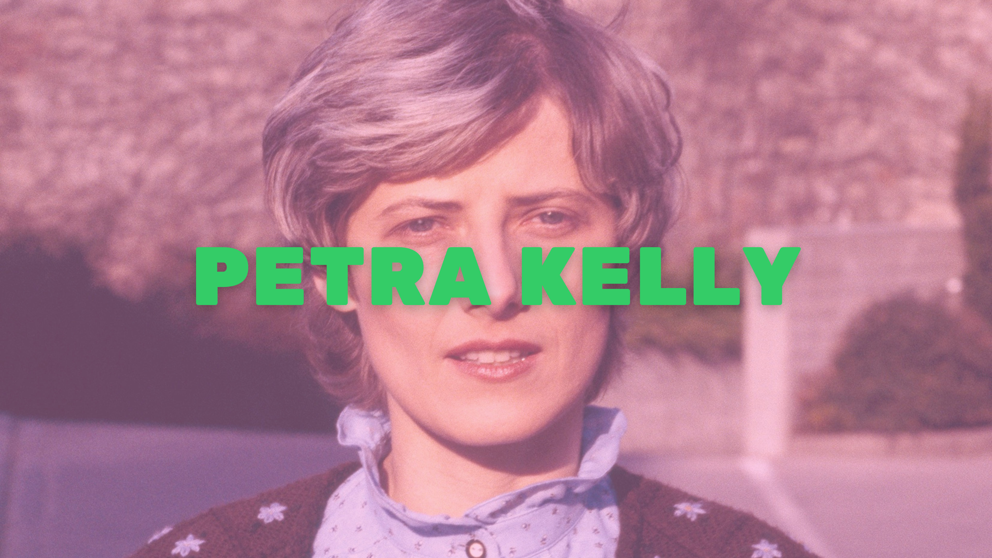 Teaserbild - Petra Kelly