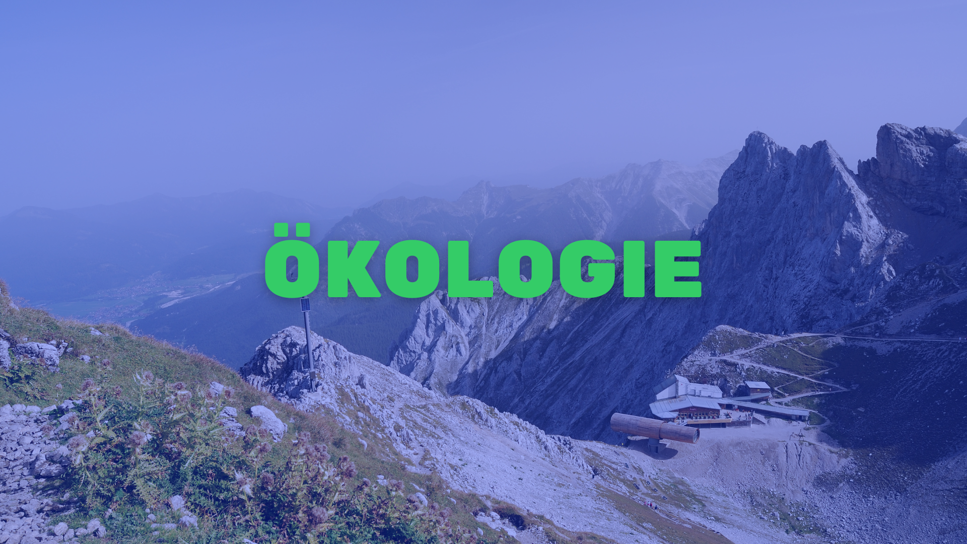 Teaserbild - Ökologie