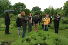 Urbaner Gartenbau in Bamberg