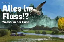 Titelbild der Ausstellung mit einem Fluss und eine Möwe