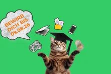 Eine Katze sagt "bewirb dich bis 09.08.2026"