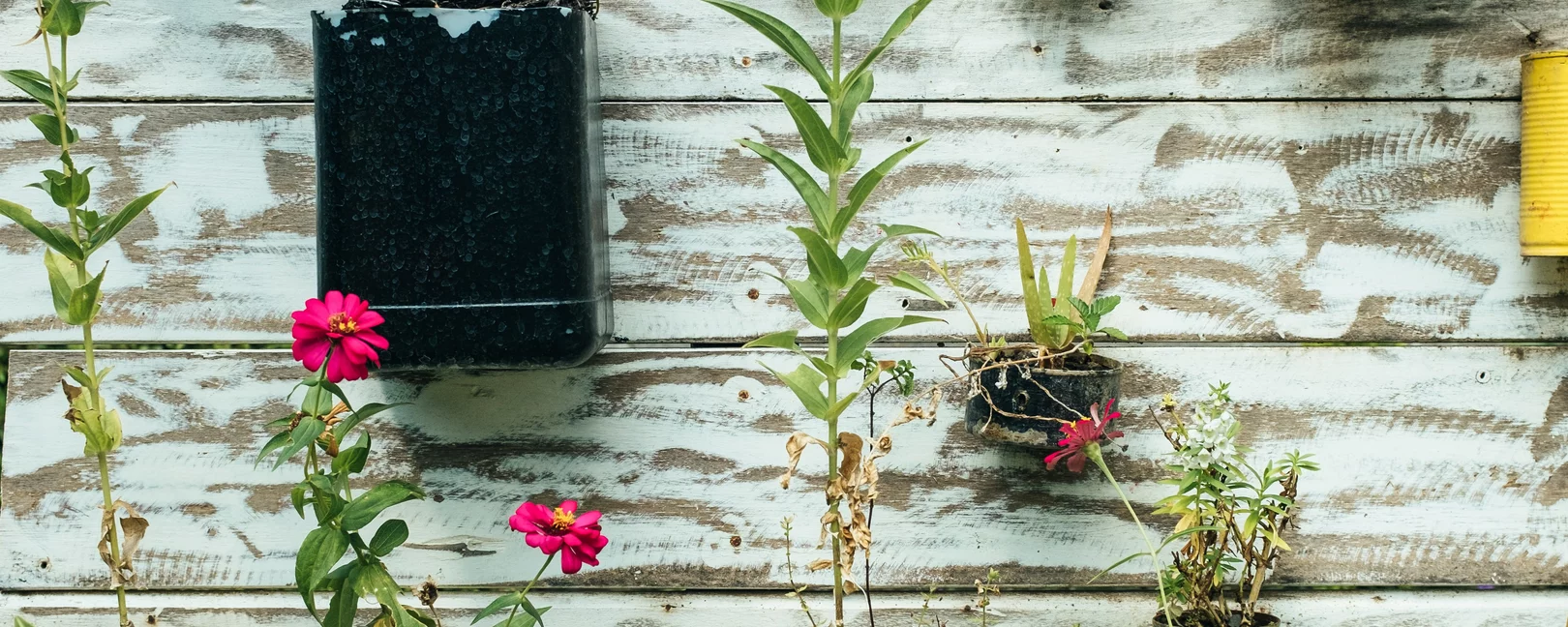 Bunte Blumentöpfe hängen an einer Wand