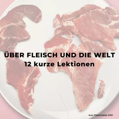Fleischatlas