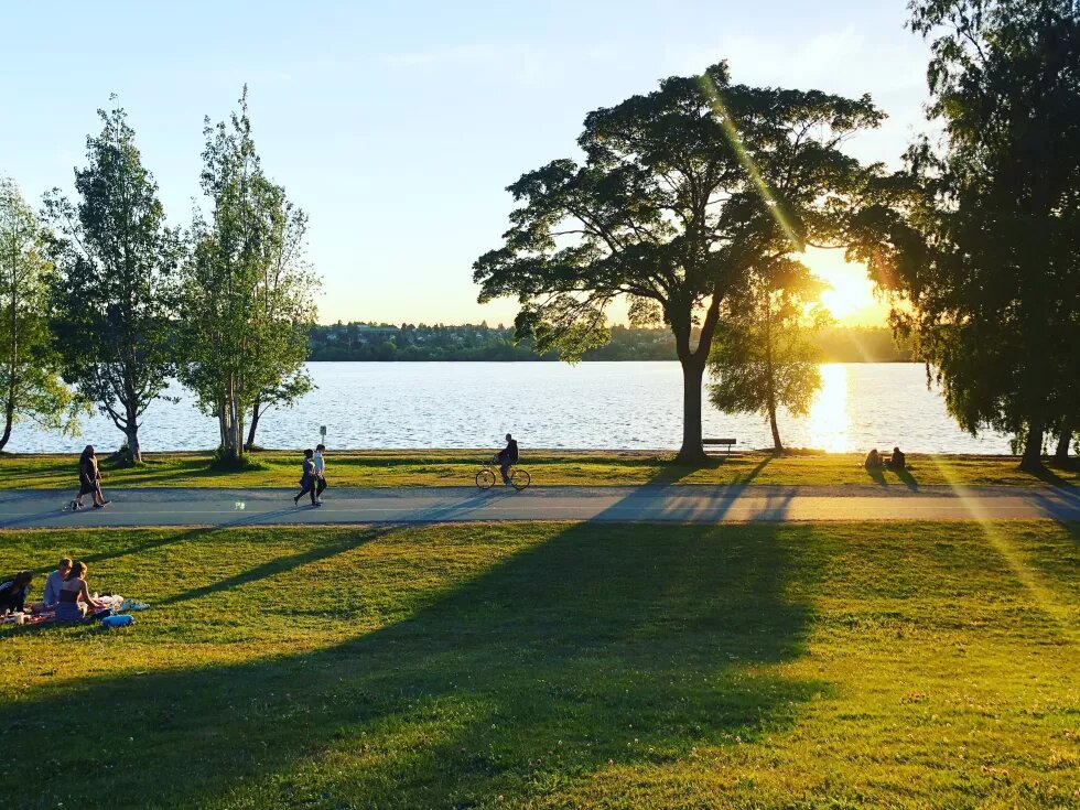 Free Path Image © Steven Shaffer / unsplash.com Park