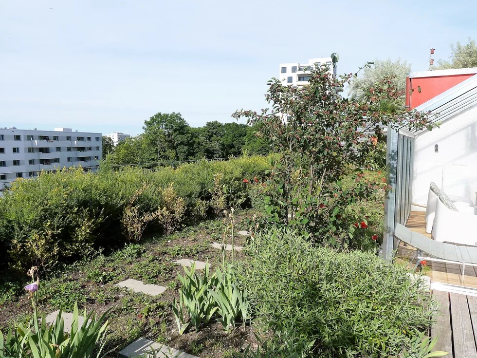 Dachgarten in München