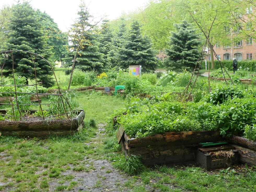 Urbaner Gemeinschaftsgarten im Kopenhagener Nørrebro-Viertel