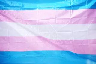 Transgender flag celebrating LGBTQ Pride for June, 2019. Transgender flag celebrating LGBTQ Pride for June, 2019.
